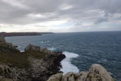 IMG_20201004_160838_BURST92