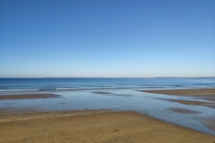 IMG_20210109_120235