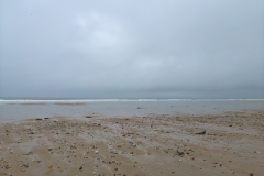 IMG_20210131_123040