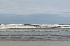 IMG_20210224_130248_1