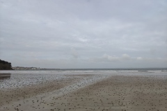 IMG_20210225_124537