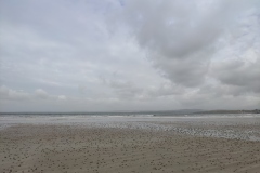 IMG_20210225_124539