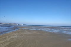 IMG_20210228_103948