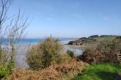 IMG_20210301_122904