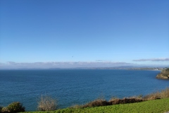 IMG_20210316_171932