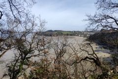 IMG_20210317_125656