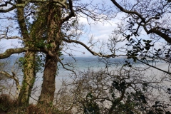 IMG_20210318_125540