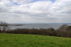 IMG_20210320_145042