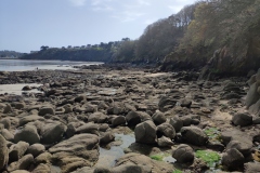 IMG_20210330_124521