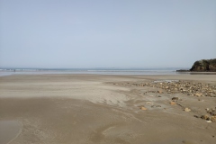 IMG_20210331_122020