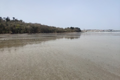 IMG_20210331_122758