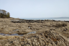 IMG_20210331_124631