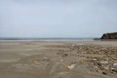 IMG_20210401_121244