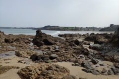 IMG_20210401_124211