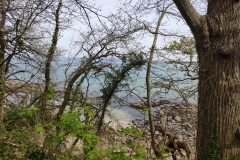 IMG_20210401_124628