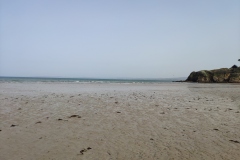 IMG_20210402_121226