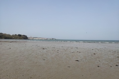 IMG_20210402_121228