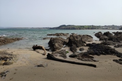 IMG_20210402_124306