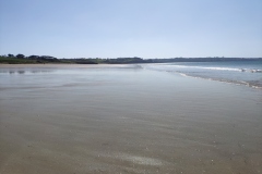 IMG_20210403_151144