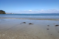 IMG_20210407_125006