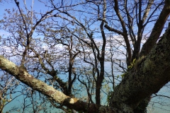 IMG_20210407_130128