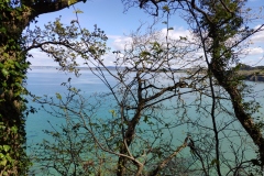 IMG_20210407_130337