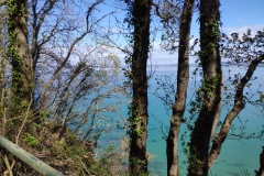 IMG_20210407_130349
