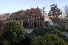 IMG_20210408_074934
