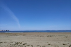IMG_20210423_123921