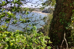 IMG_20210423_125423