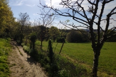 IMG_20210423_184302