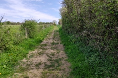 IMG_20210424_144402