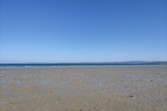 IMG_20210427_121704