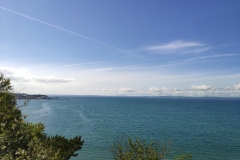 IMG_20210527_175852