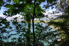 IMG_20210527_180619